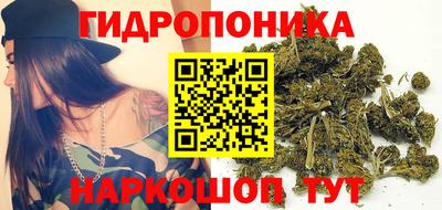 бошки Моздок