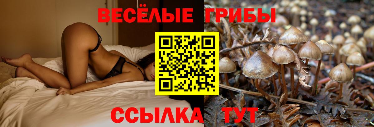 Ангарск  Псилоцибиновые грибы мухоморы  Галлюциногенные грибы мухоморы  что такое наркотик  Вход с VPN 